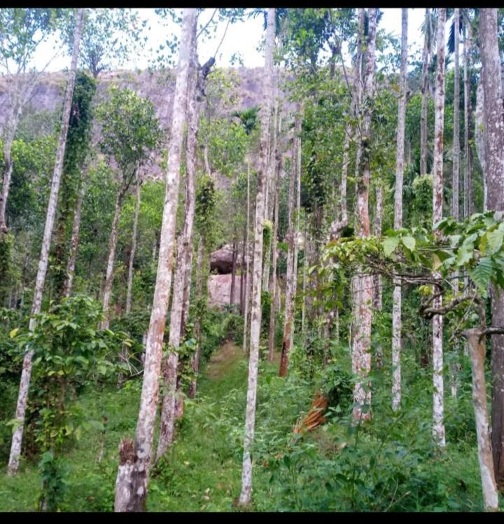 Wayanad Snow Vibes Villa Vythiri Exterior photo
