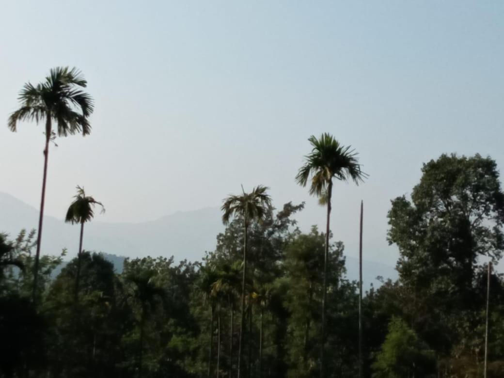 Wayanad Snow Vibes Villa Vythiri Exterior photo